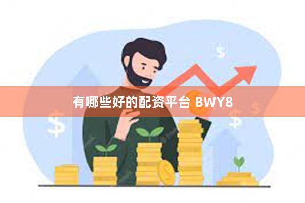 有哪些好的配资平台 BWY8