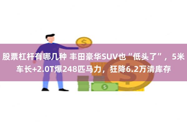 股票杠杆有哪几种 丰田豪华SUV也“低头了”，5米车长+2.0T爆248匹马力，狂降6.2万清库存