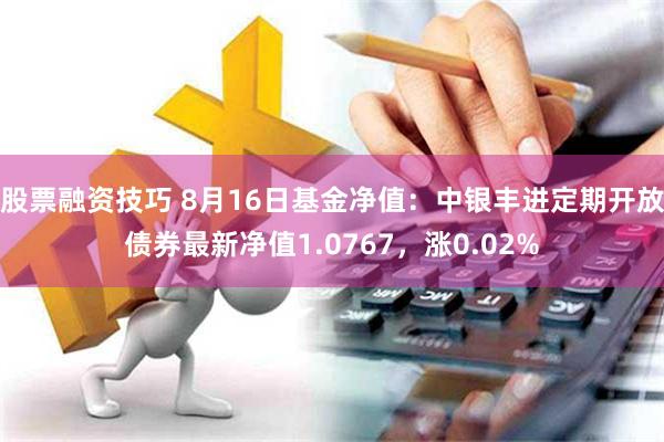 股票融资技巧 8月16日基金净值：中银丰进定期开放债券最新净值1.0767，涨0.02%