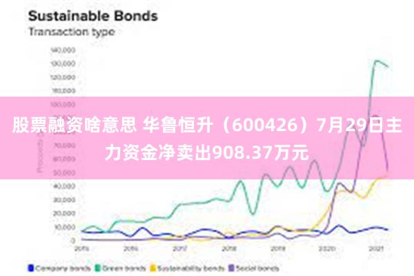 股票融资啥意思 华鲁恒升（600426）7月29日主力资金净卖出908.37万元