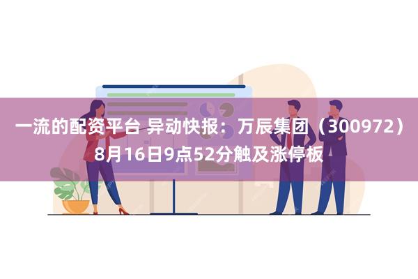 一流的配资平台 异动快报：万辰集团（300972）8月16日9点52分触及涨停板