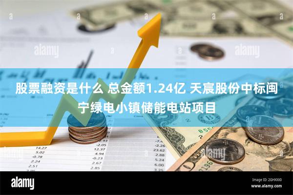 股票融资是什么 总金额1.24亿 天宸股份中标闽宁绿电小镇储能电站项目