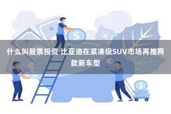 什么叫股票投资 比亚迪在紧凑级SUV市场再推两款新车型