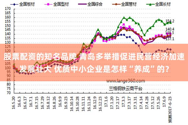 股票配资的知名品牌 青岛多举措促进民营经济加速发展壮大 优质中小企业是怎样“养成”的？