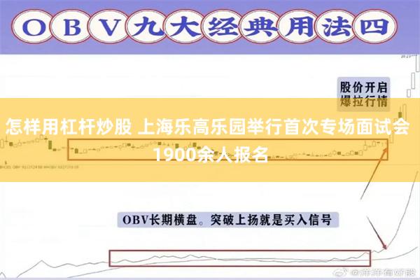 怎样用杠杆炒股 上海乐高乐园举行首次专场面试会 1900余人报名