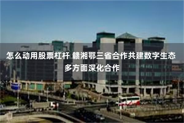 怎么动用股票杠杆 赣湘鄂三省合作共建数字生态 多方面深化合作