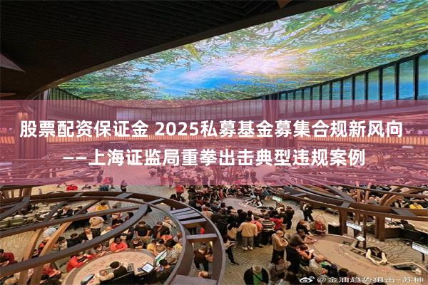 股票配资保证金 2025私募基金募集合规新风向 ——上海证监局重拳出击典型违规案例