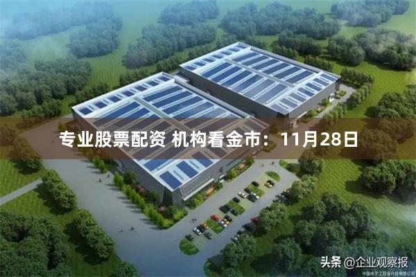 专业股票配资 机构看金市：11月28日